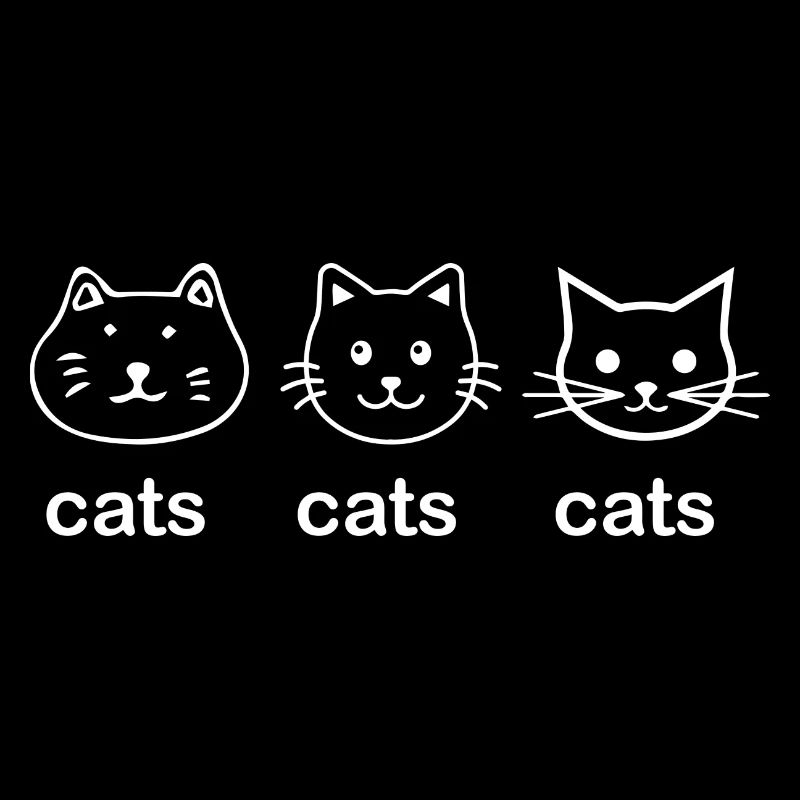 Chat Katze