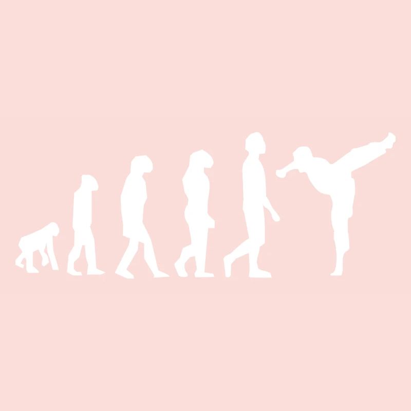 Art martiaux évolution