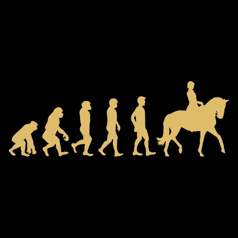 Évolution de l’équitation