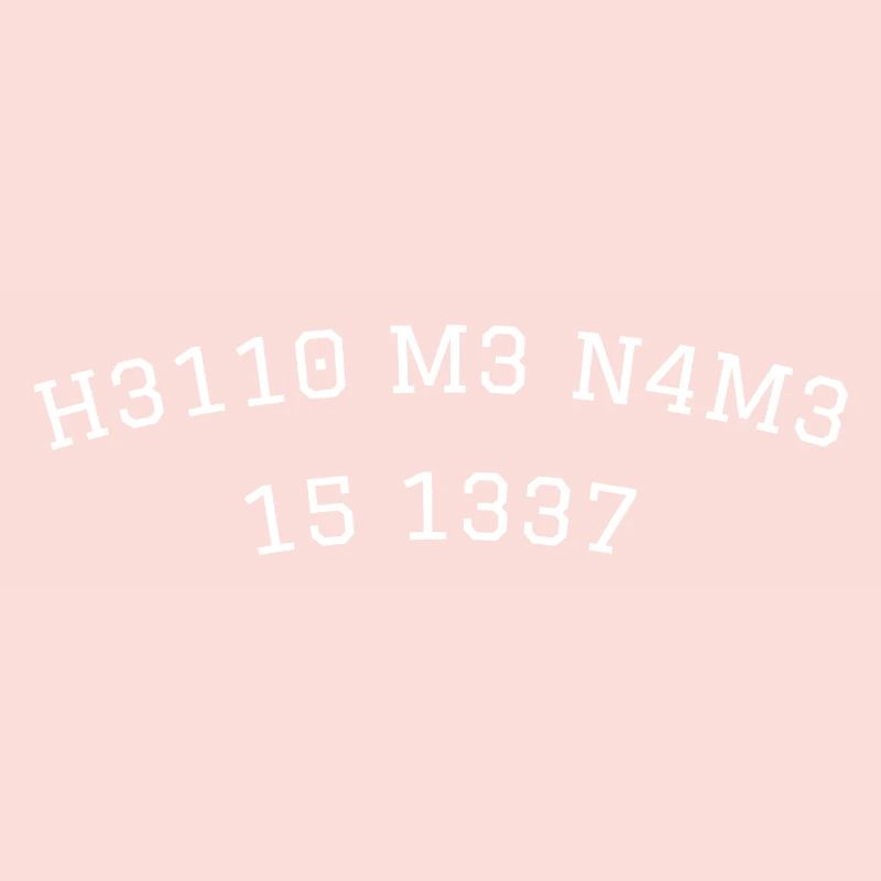 leetspeak leet mon nom est hello code gamer 1337