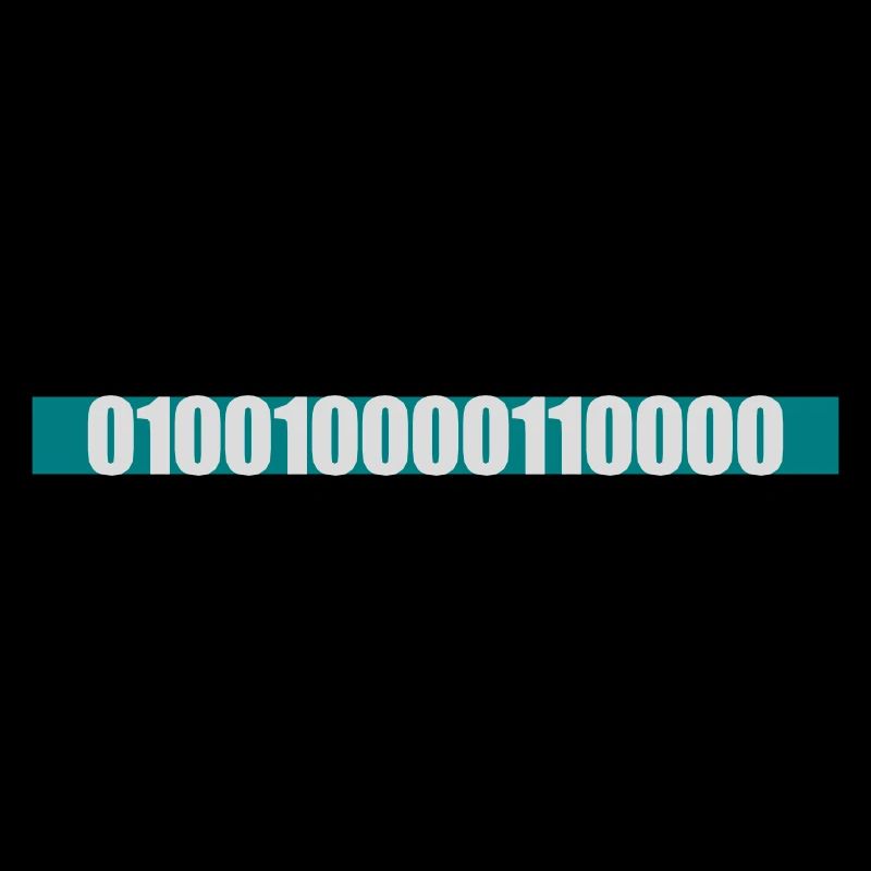 Binary Code Program Language