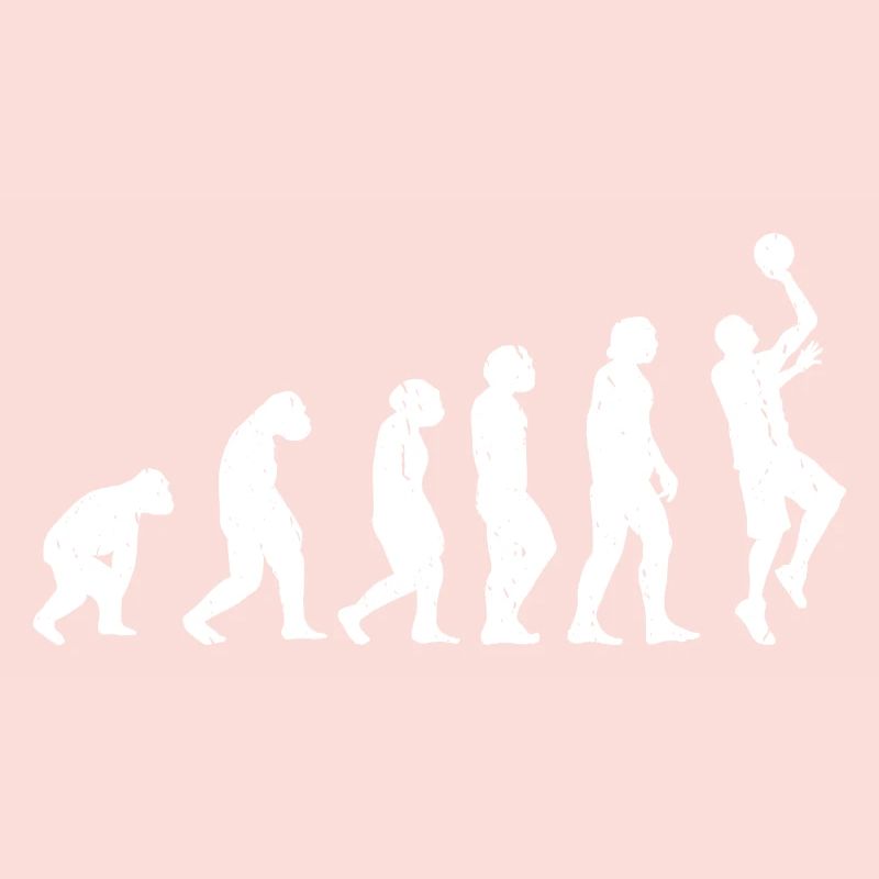 Evolution Basket-ball