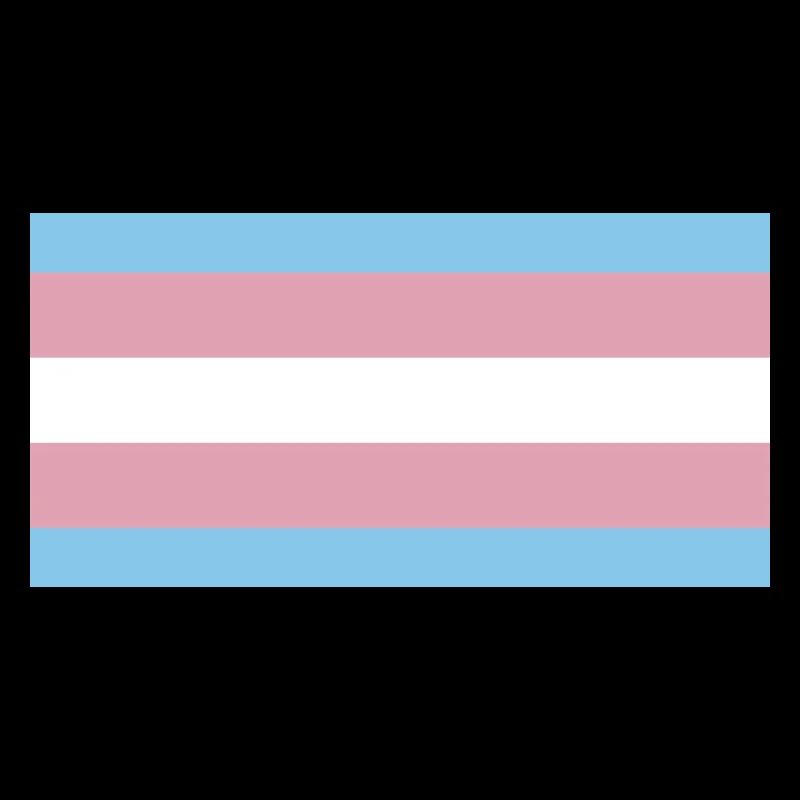 Fierté trans
