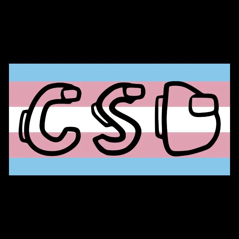 Trans Pride Flag CSD