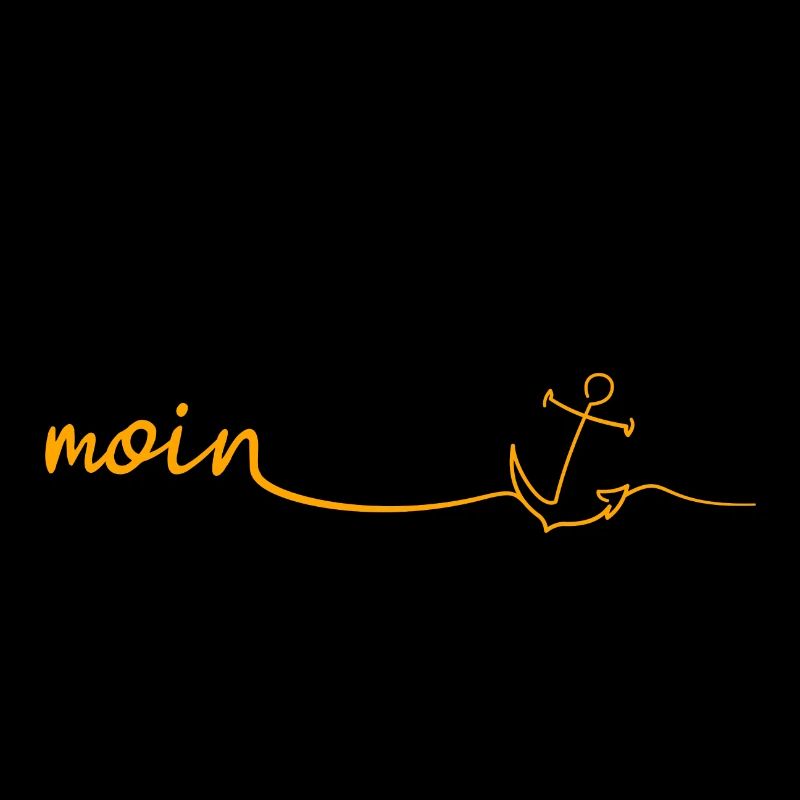 MOIN Anker