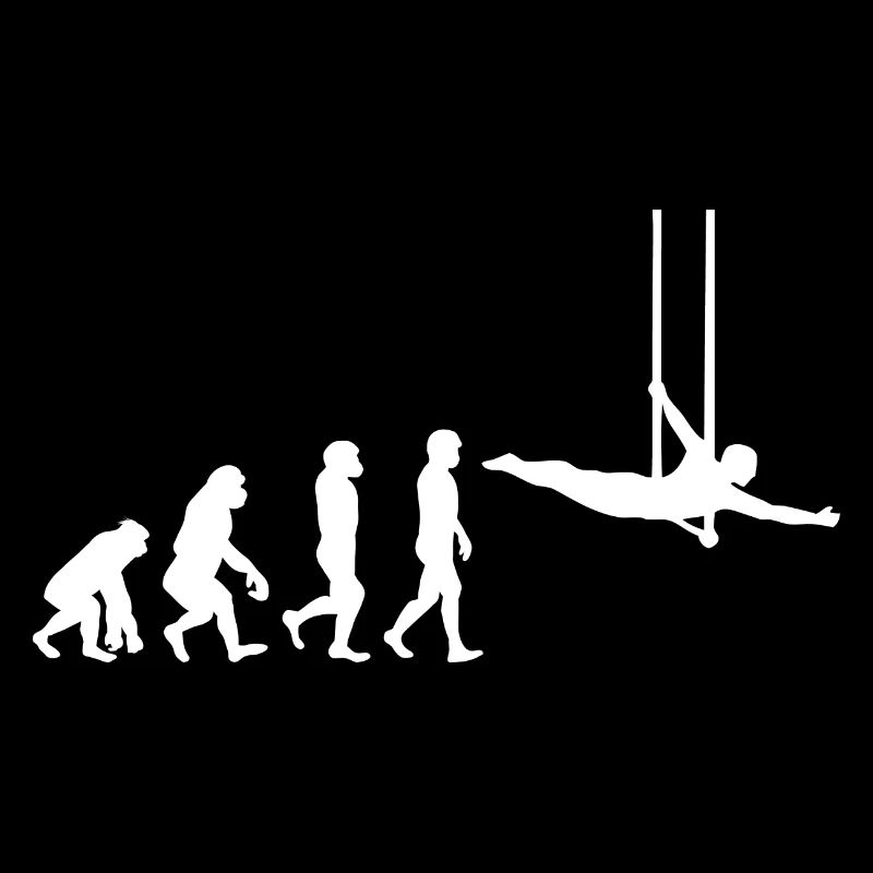 Flying Trapeze Artist Circus Gymnastics Evolution