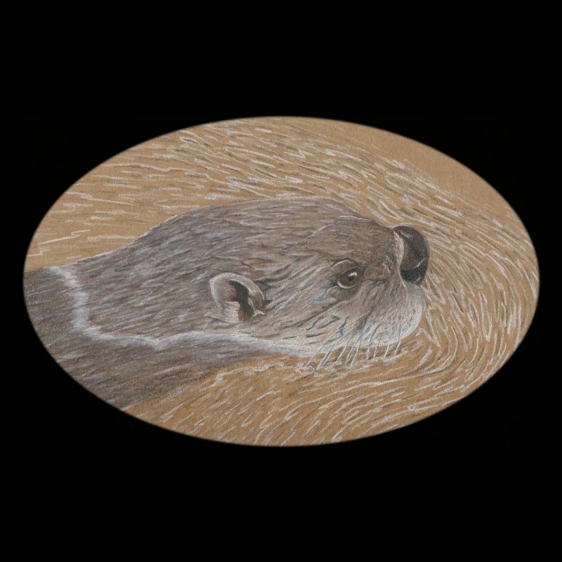 otter 2 13 11 2022