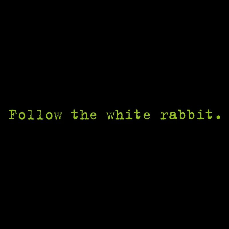 Follow the white rabbit Programming Informatik