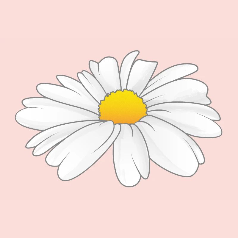 Gänseblümchen