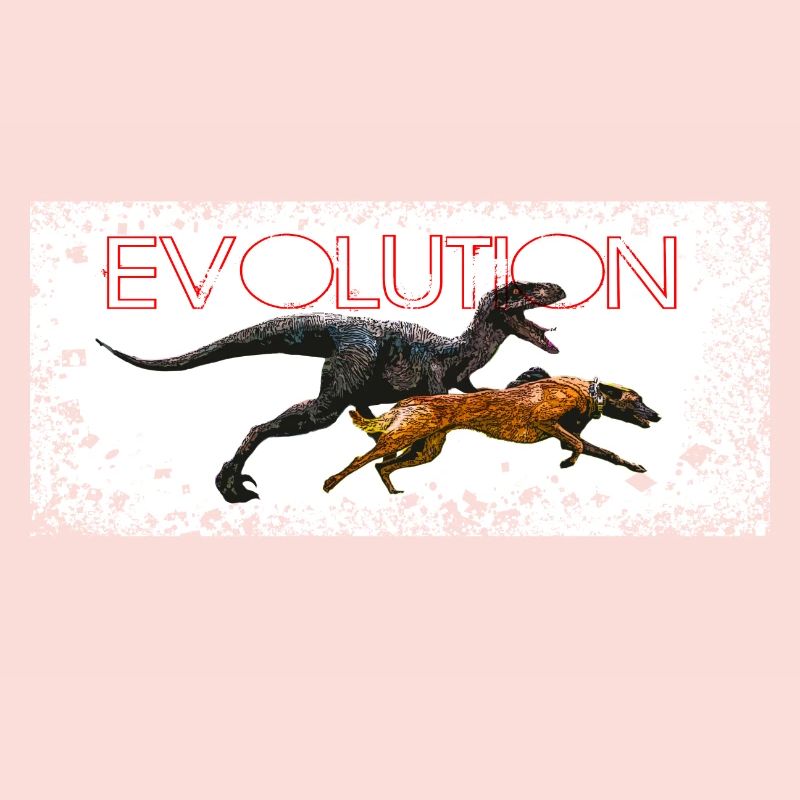 Evolution Comic Hund