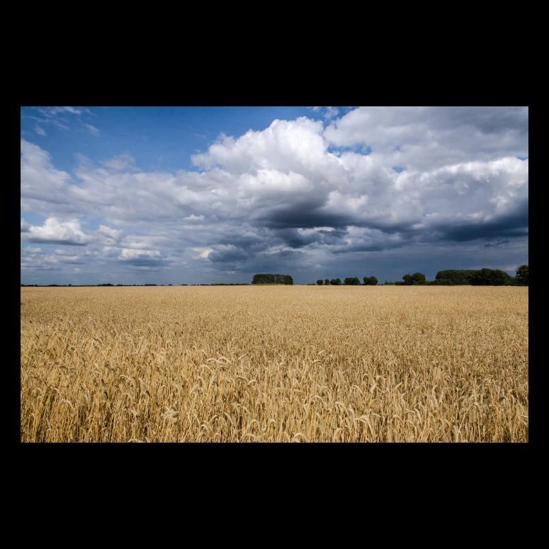 Erde und Himmel
