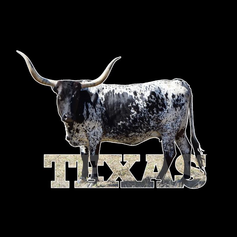 Texas Longhorns