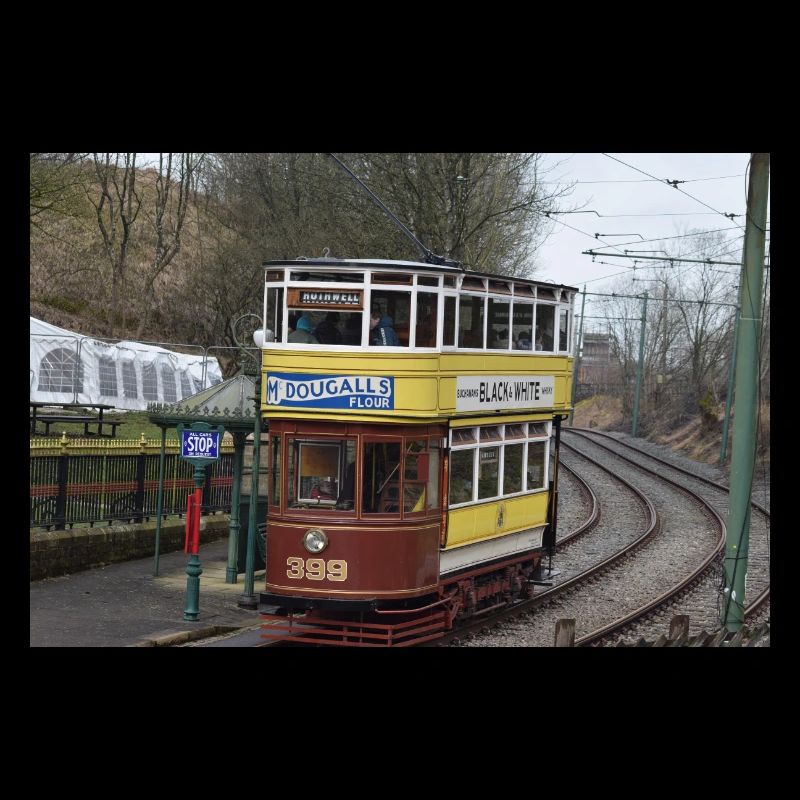 Trams