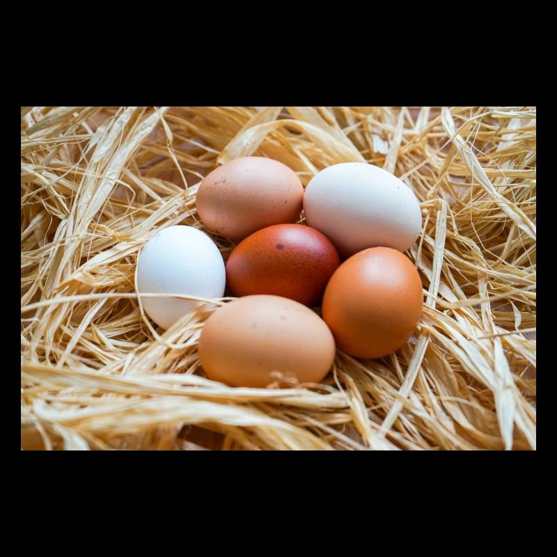 Eier im Stroh