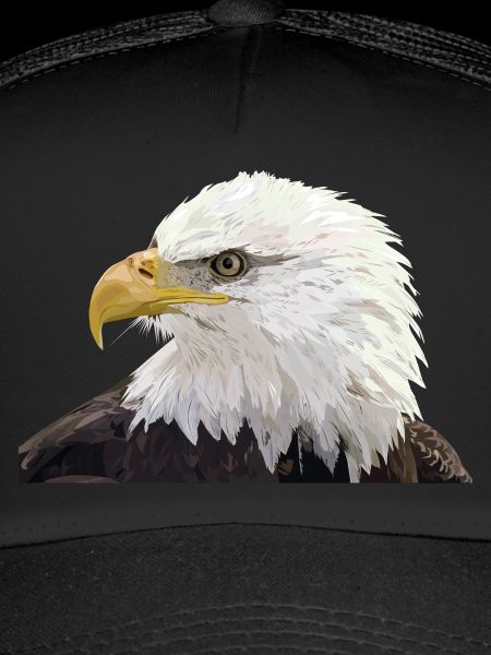 Weißkopfseeadler