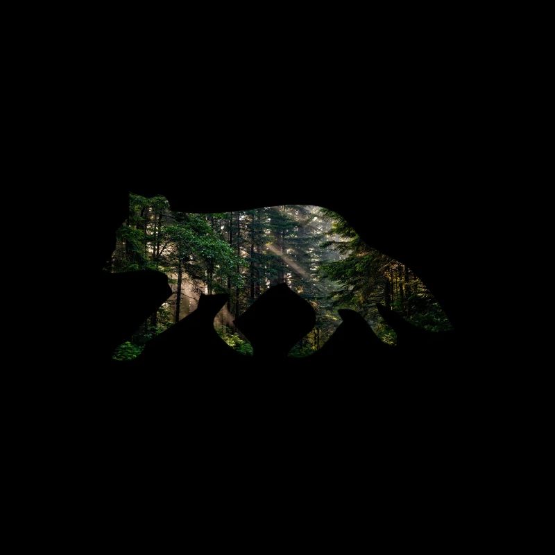 Fuchs Wald