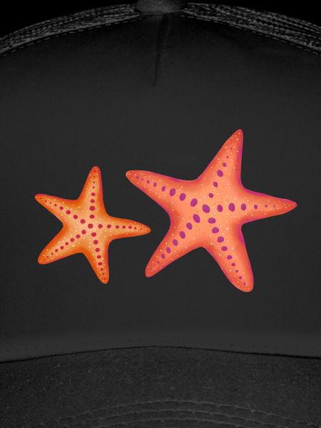 Étoile de mer