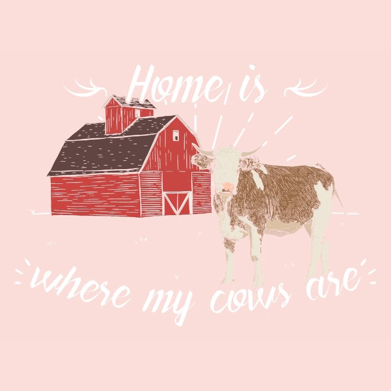 vaches