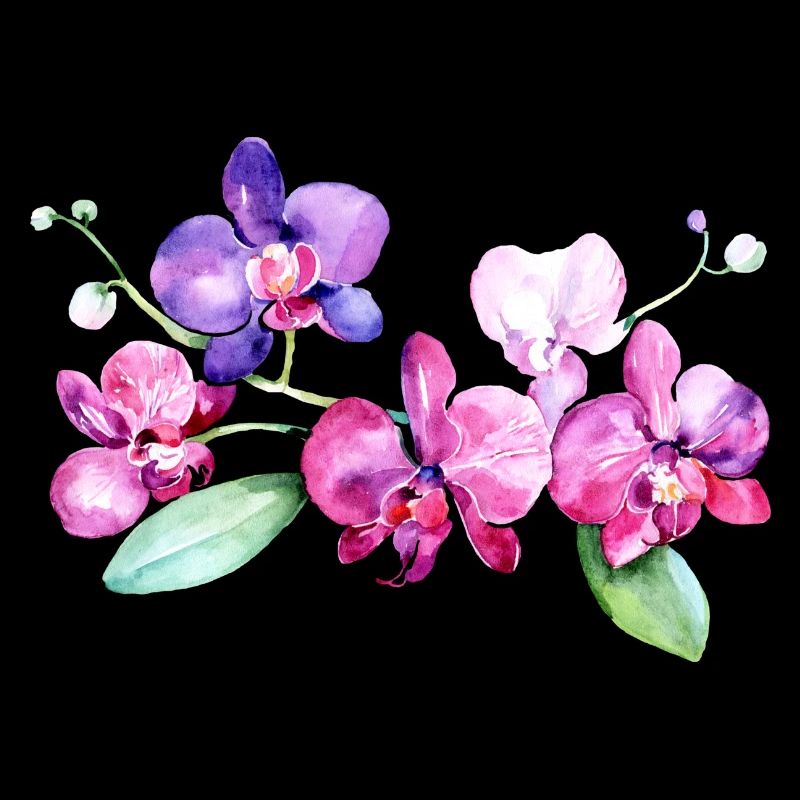 Belles orchidées tropicales fleurs tropicales
