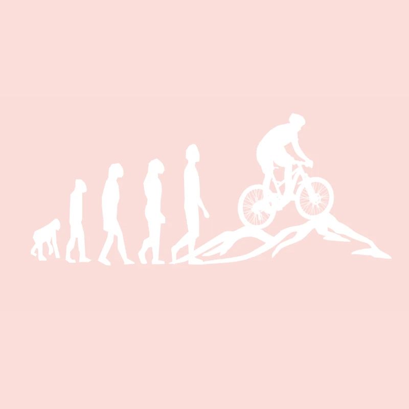 VTT VTT Evolution Biking