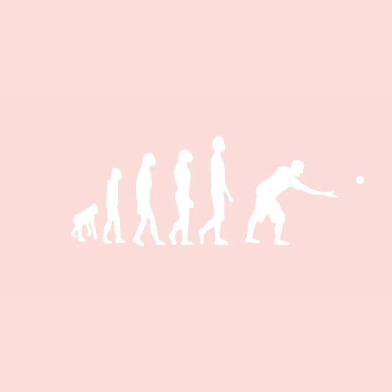 Boules Boccia Petanque Evolution