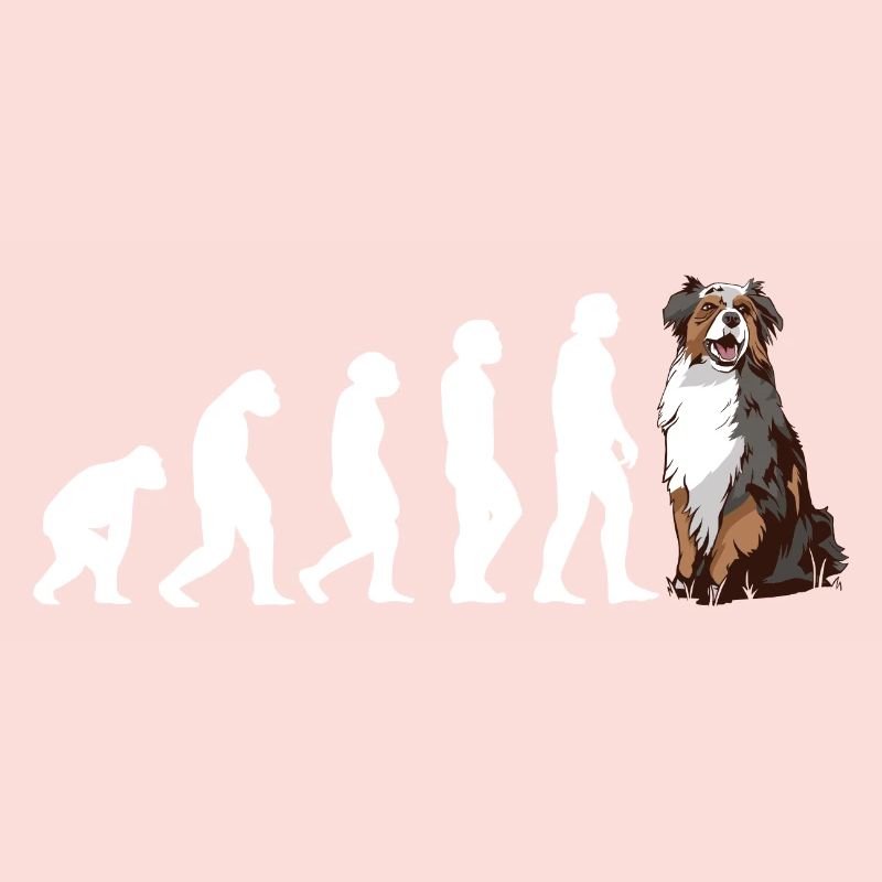 Évolution du chien Aussie