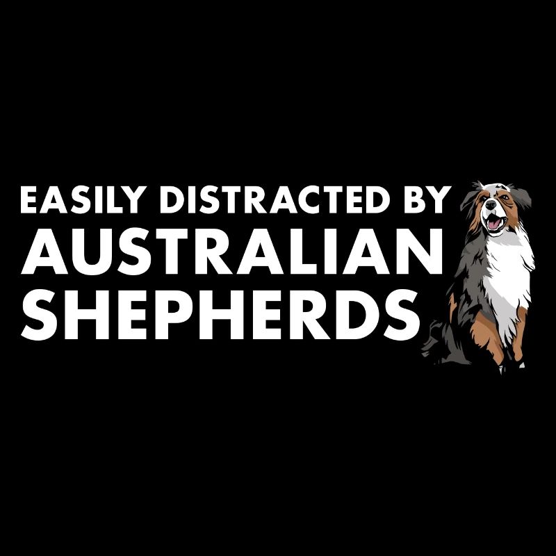 Dog Easily Distracted By Aussie