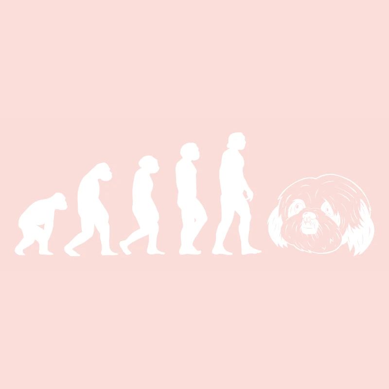 Evolution Shih Tzu