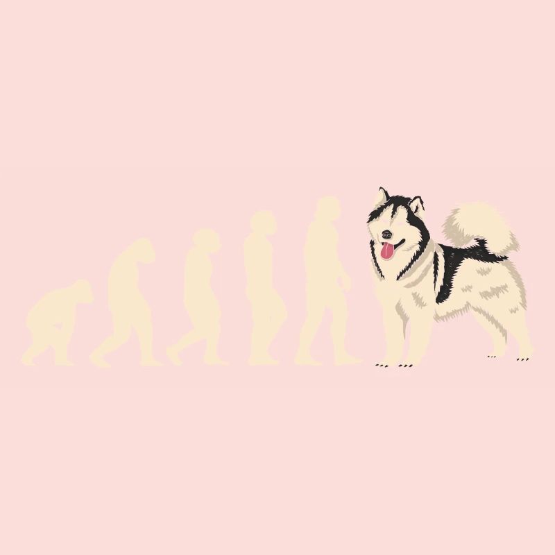 Evolution Alaskan Malamute