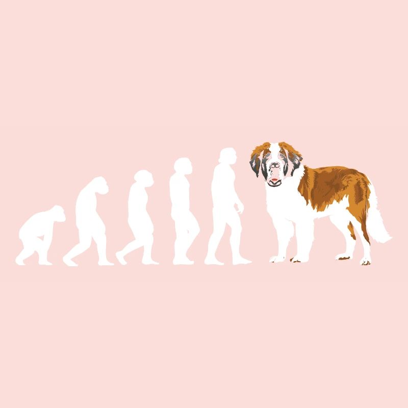 Evolution Saint-Bernard
