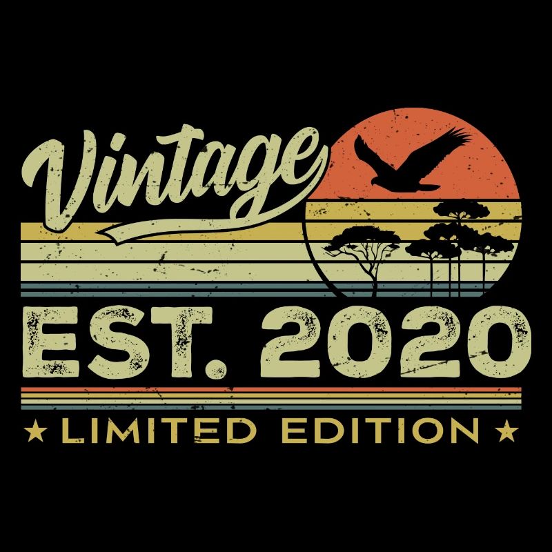 Vintage 2020 Awesome Since 2020 Gift 2020 Retro