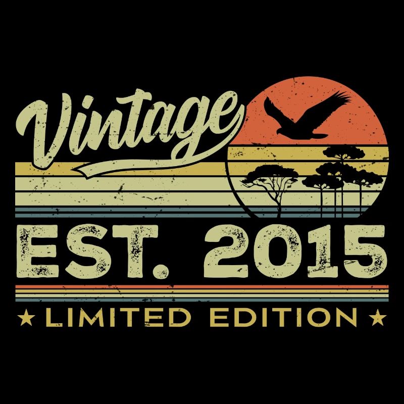 Vintage 2015 Awesome Since 2015 Gift 2015 Retro