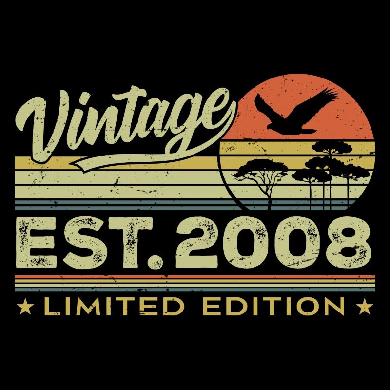 Vintage 2008 Awesome Since 2008 Gift 2008 Retro