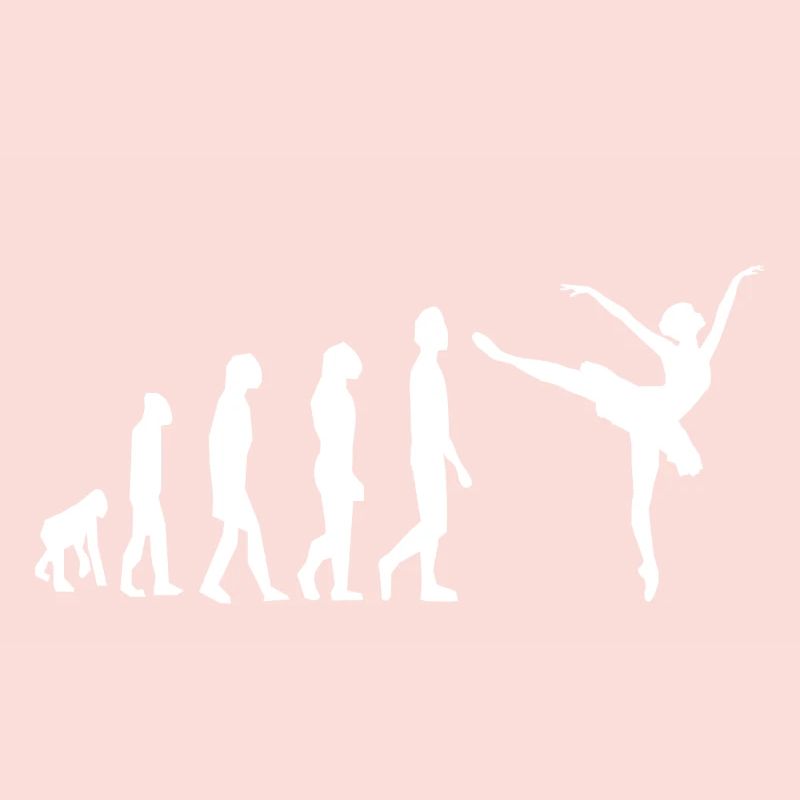 Ballet Ballerina Evolution Danse Danse