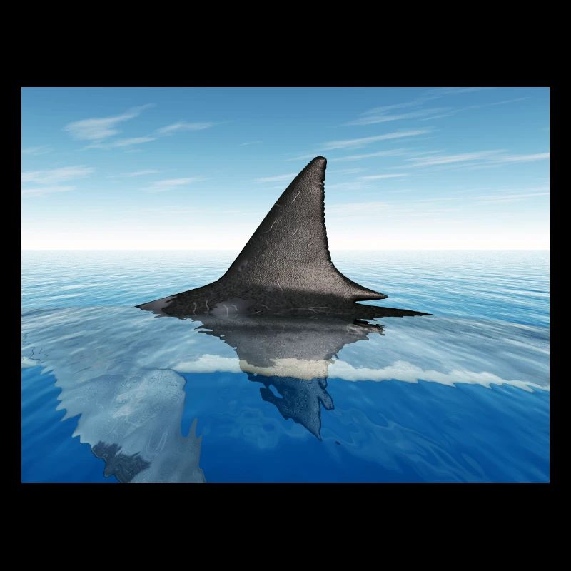 Great white shark