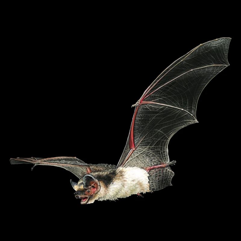 Two-color bat sticker