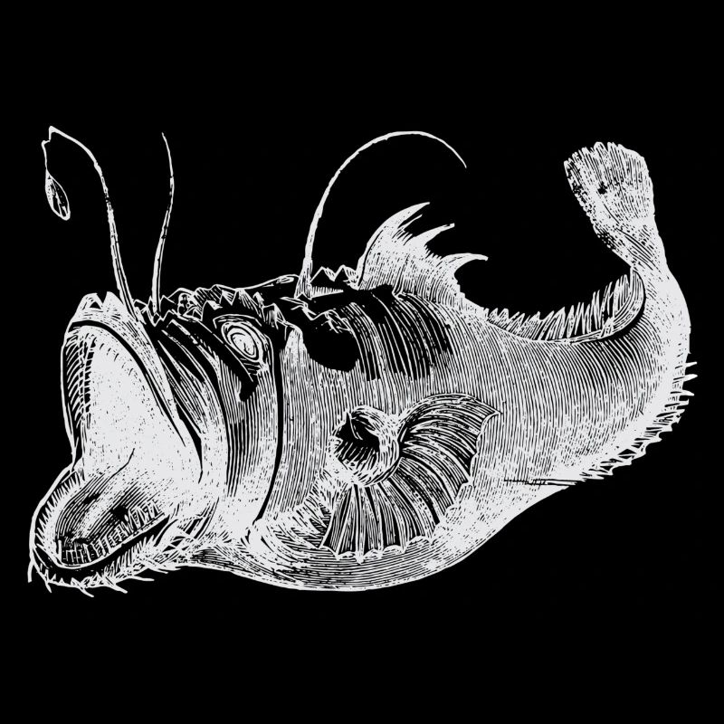 Poisson profond blanc