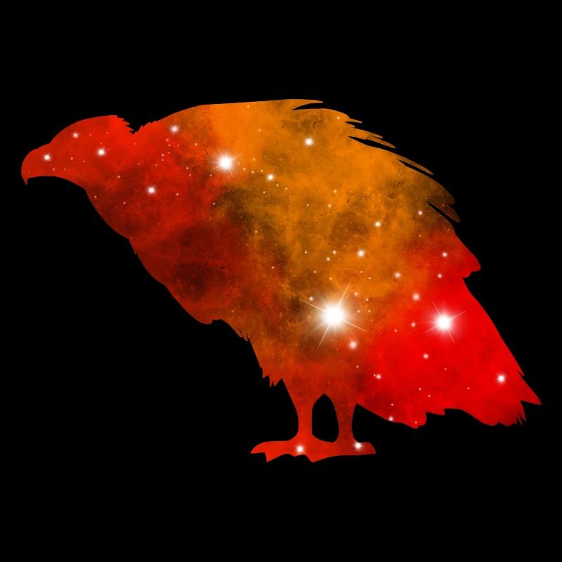 Galaxy Vulture