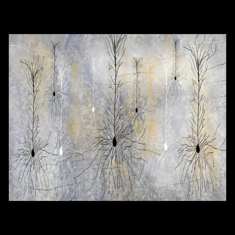 Neuronales Netzwerk