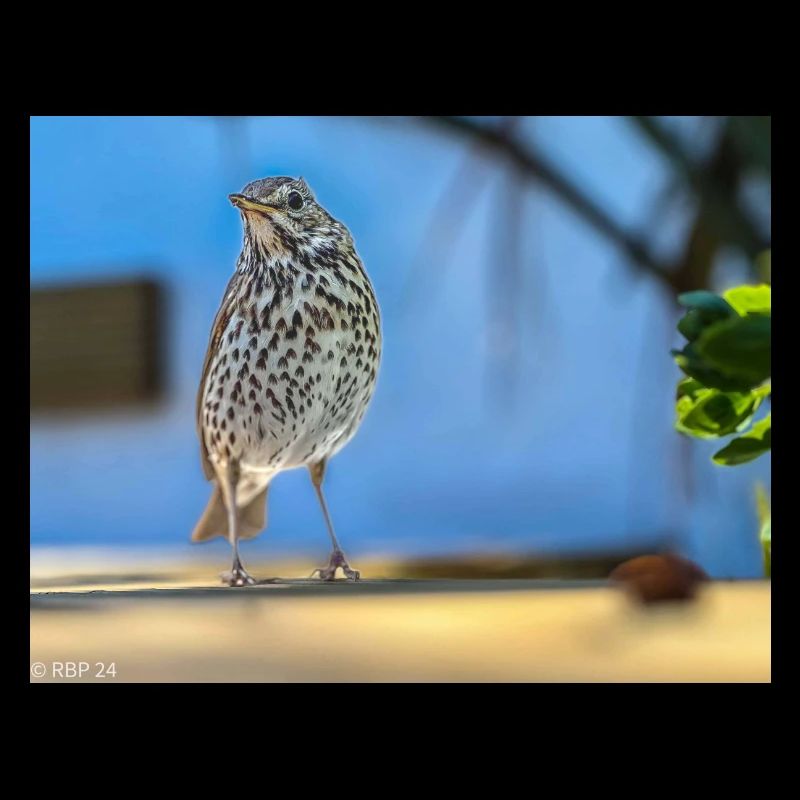 3C6DAC94 2483 48C8 B3C0 C91D9BD6FBB1