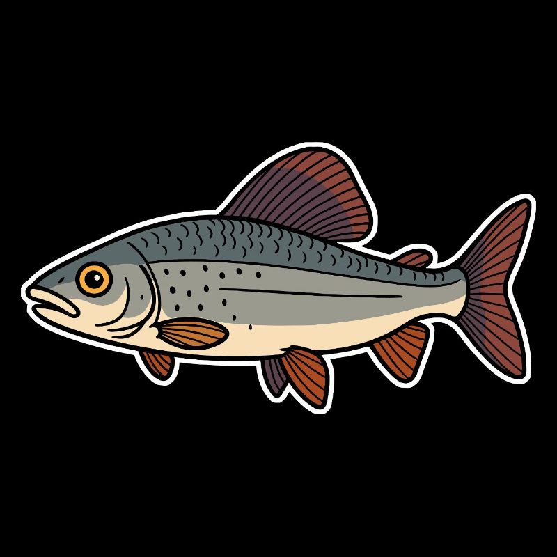 Fisch Äsche