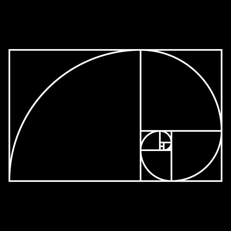 Section dorée en spirale de Fibonacci