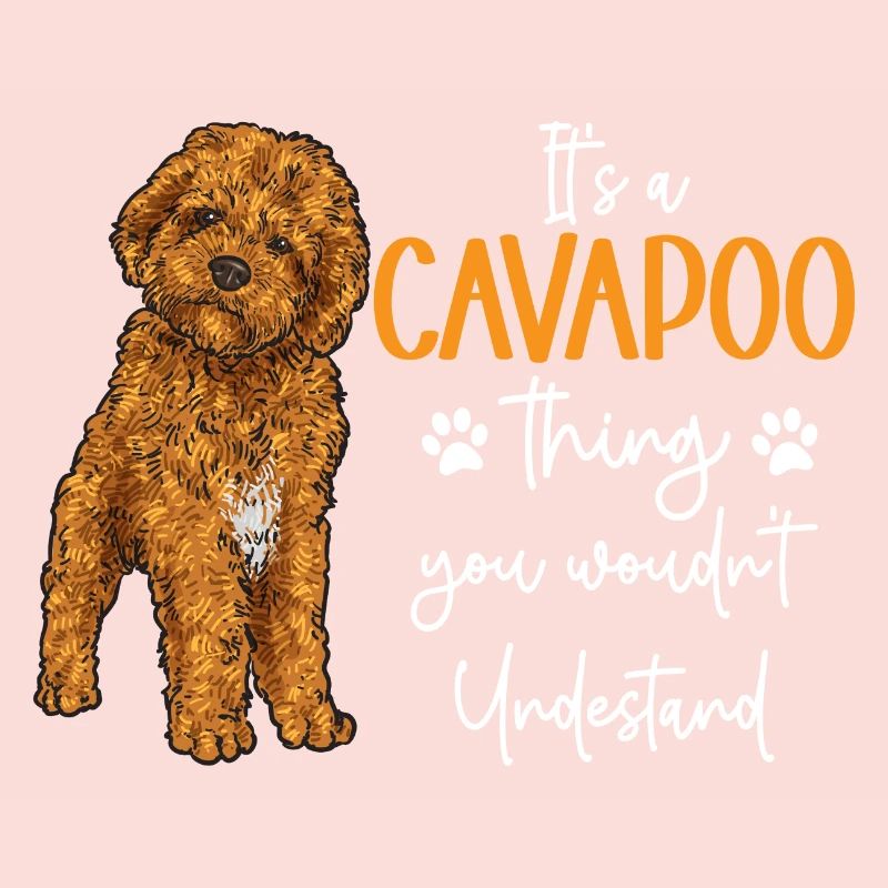 Cavapoo Cavoodle Capoodle Chien