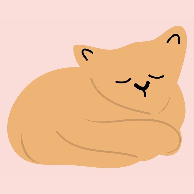 Bébé chat endormi2