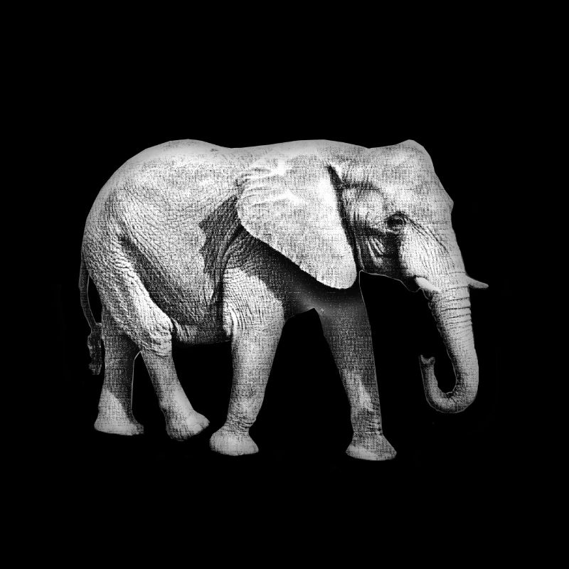 Elefant