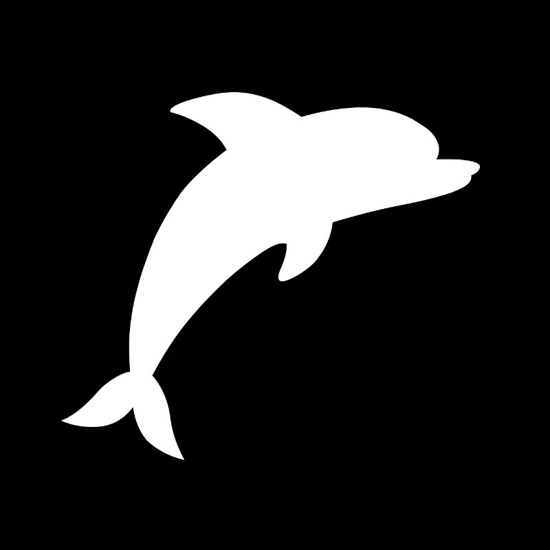 Dolphin White Gift