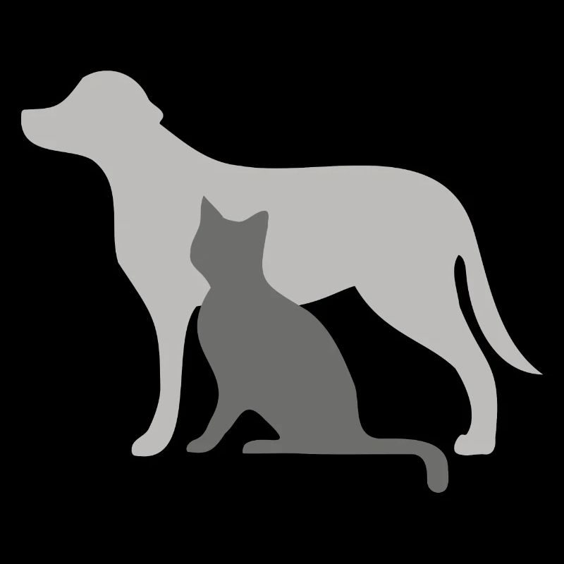 Chien et chat