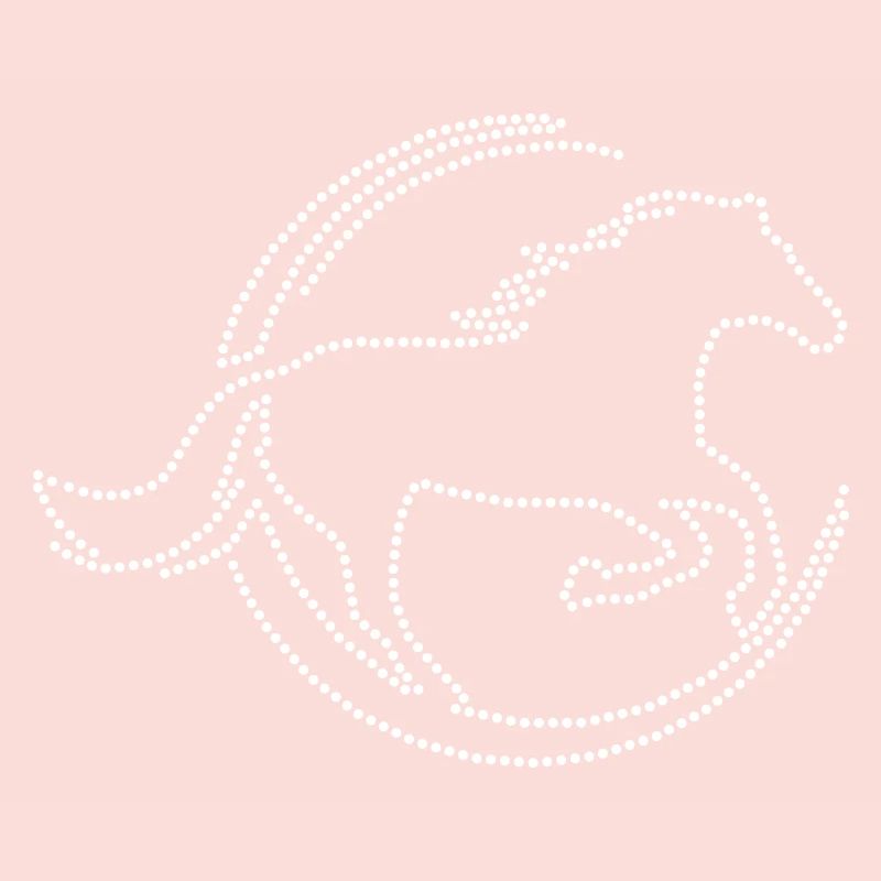 Strass de cheval