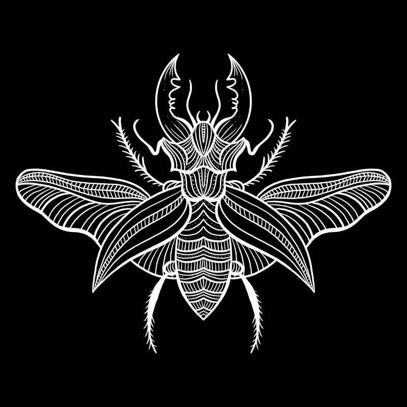 Beetle 2