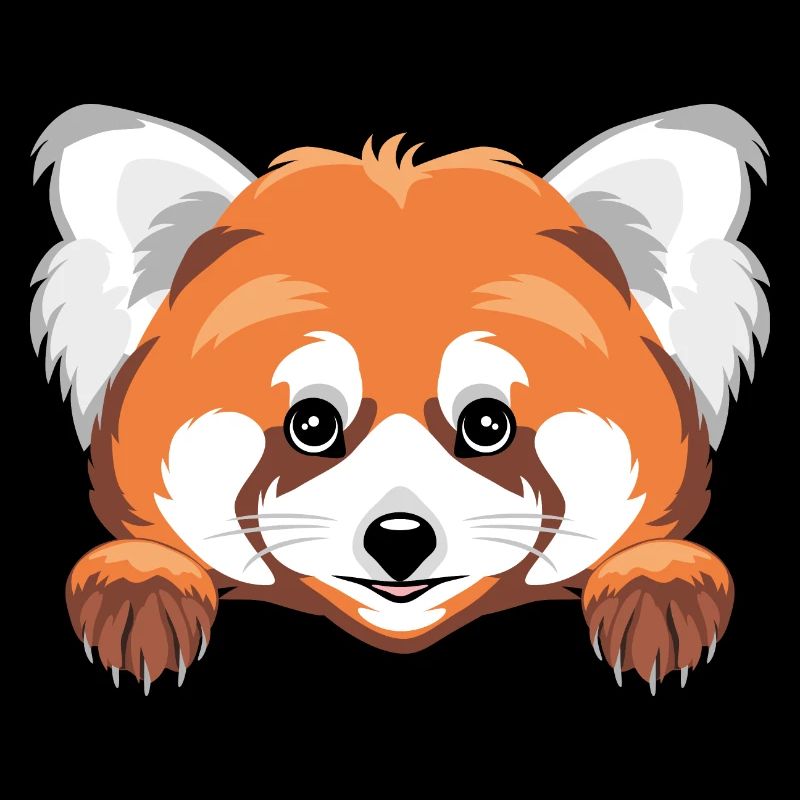 Peeking cute red panda